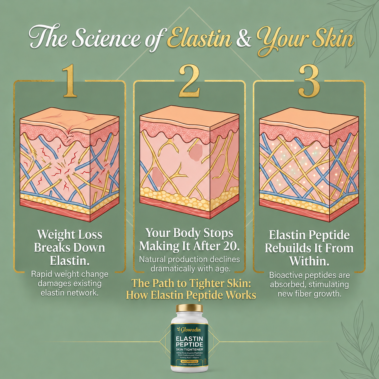 Elastin Peptide Skin Tightening Formula